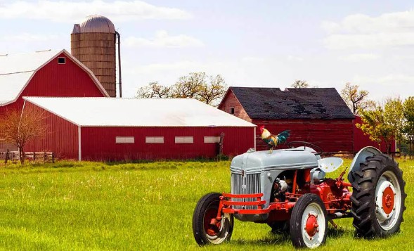 Farm Insurance: Protecting Your Agricultural Investments